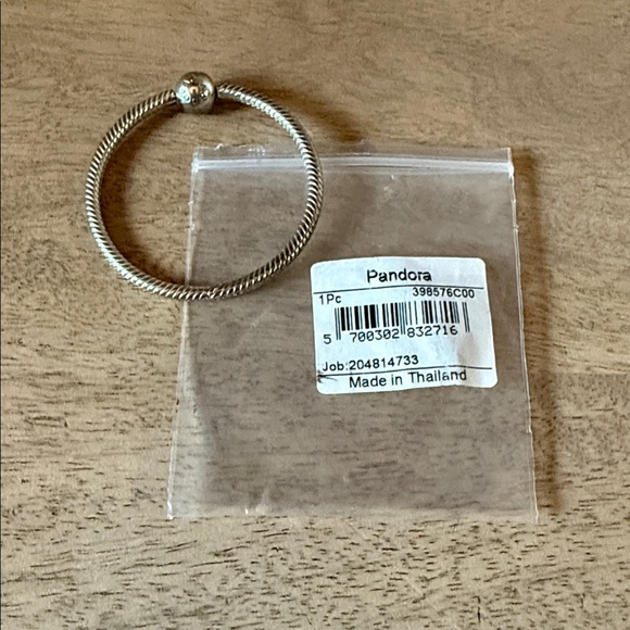 BRAND NEW! Pandora O Ring Carrier 925 Sterling Silver (399576C00) - Picture 2 of 4